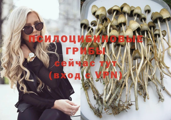 спайс Магас
